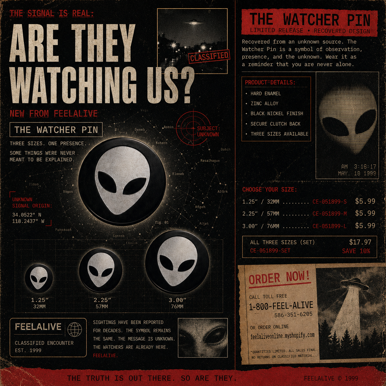 The Watcher Pin